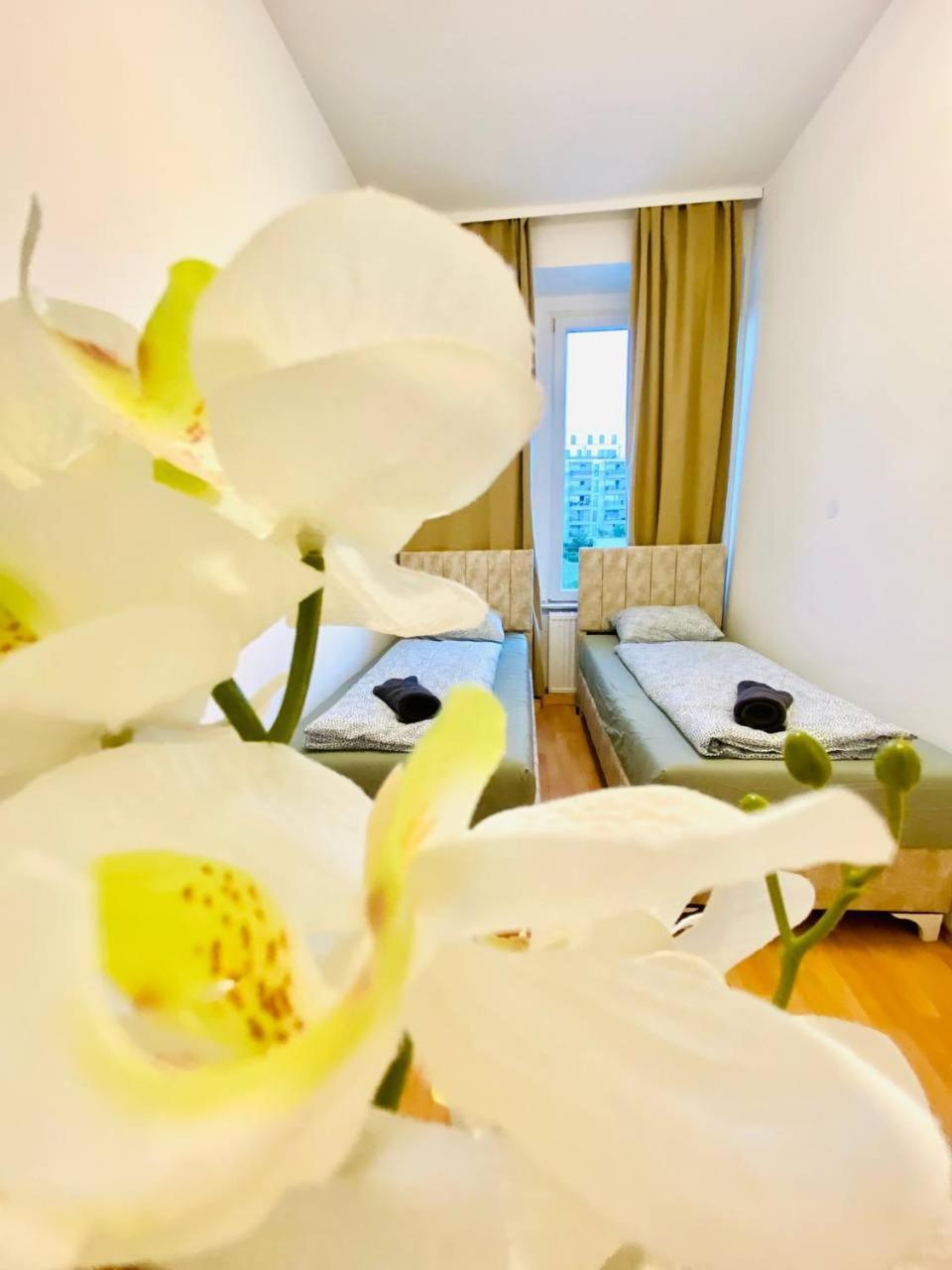 Comfortable Room In The 23Rd District Of Vienna Fr4 Екстериор снимка